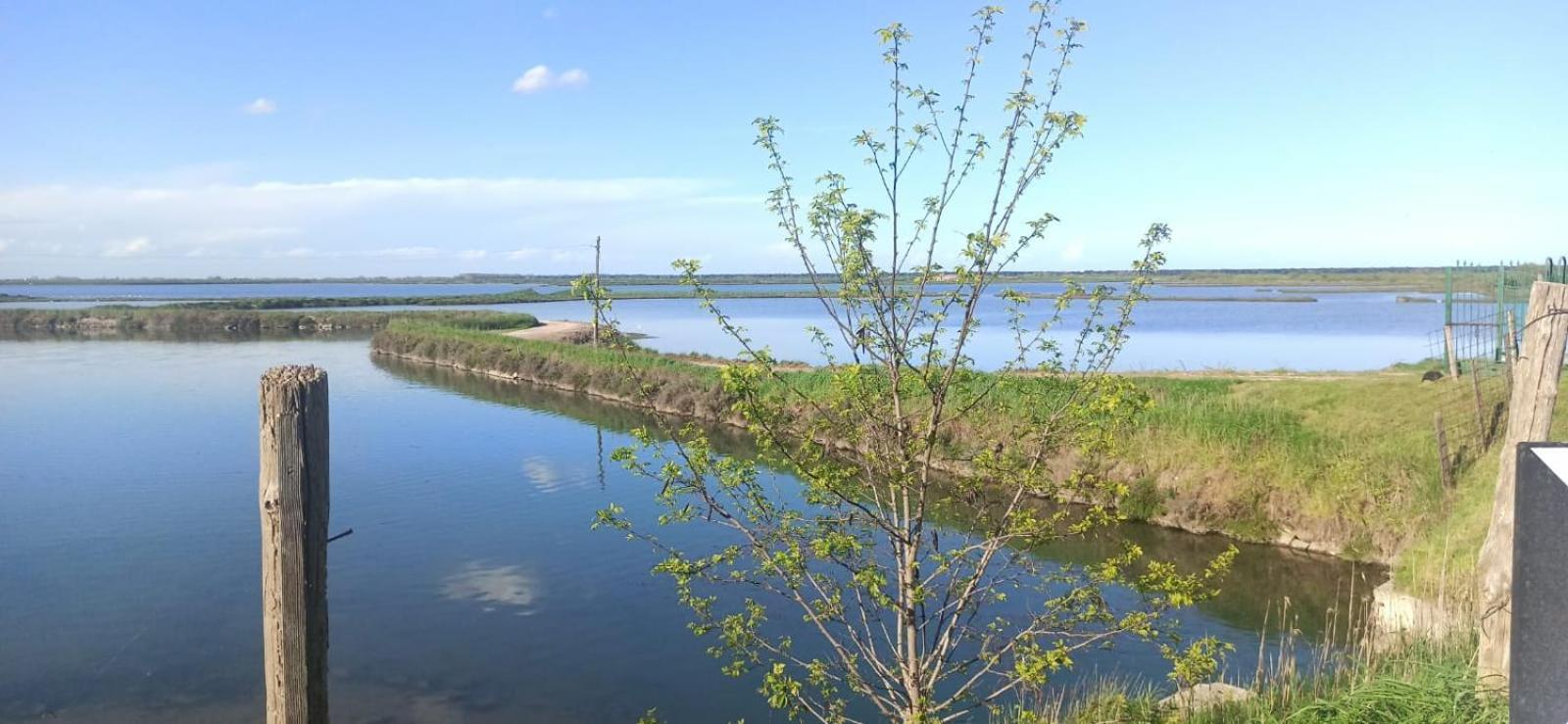 Taglio di Po Casa Vacanze Nel Delta Del Po מראה חיצוני תמונה