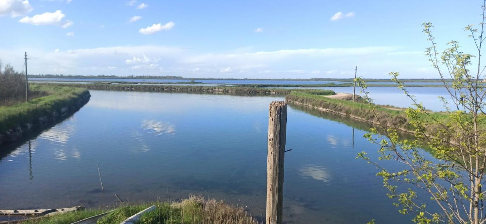 Taglio di Po Casa Vacanze Nel Delta Del Po מראה חיצוני תמונה