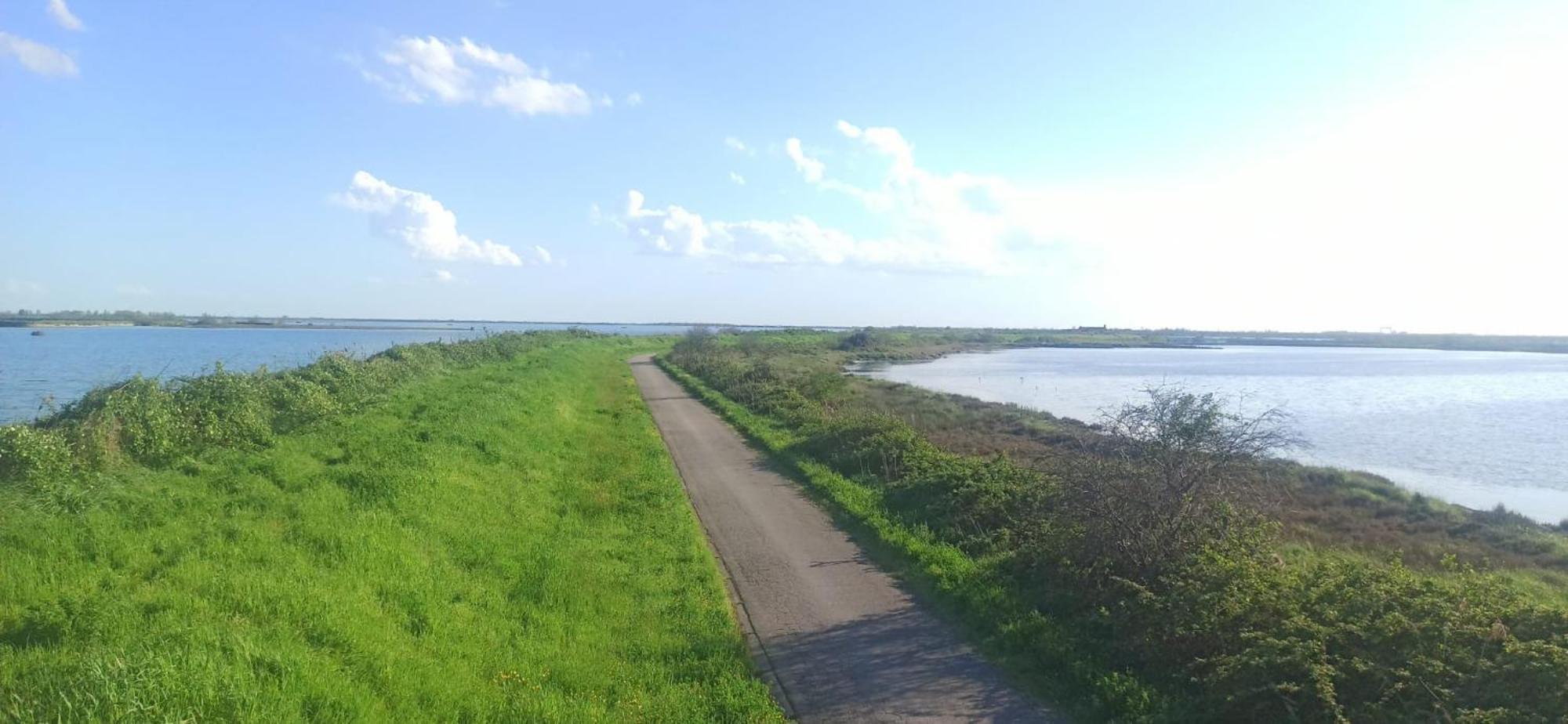 Taglio di Po Casa Vacanze Nel Delta Del Po מראה חיצוני תמונה