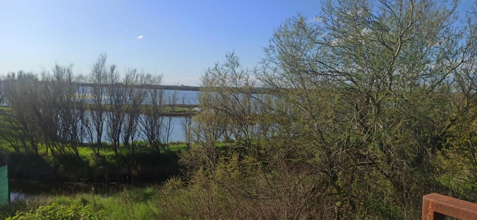 Taglio di Po Casa Vacanze Nel Delta Del Po מראה חיצוני תמונה