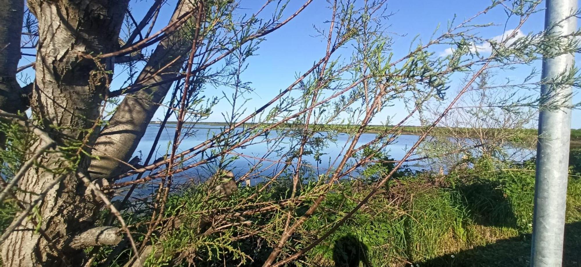 Taglio di Po Casa Vacanze Nel Delta Del Po מראה חיצוני תמונה