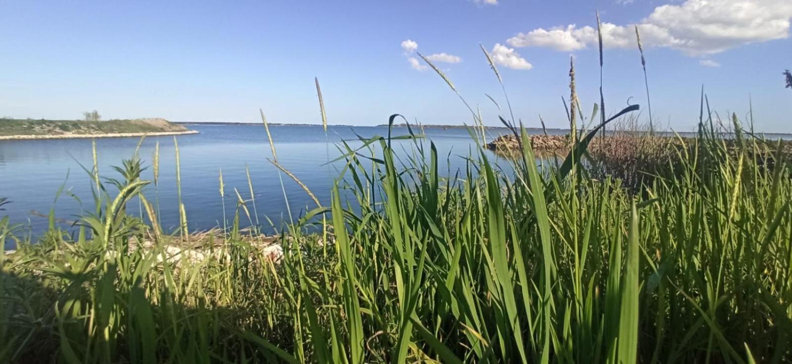 Taglio di Po Casa Vacanze Nel Delta Del Po מראה חיצוני תמונה