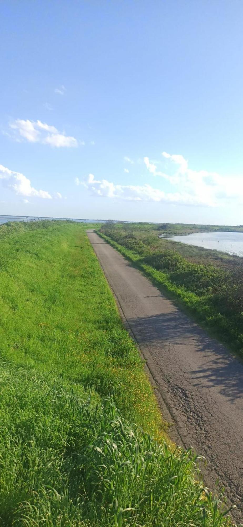 Taglio di Po Casa Vacanze Nel Delta Del Po מראה חיצוני תמונה