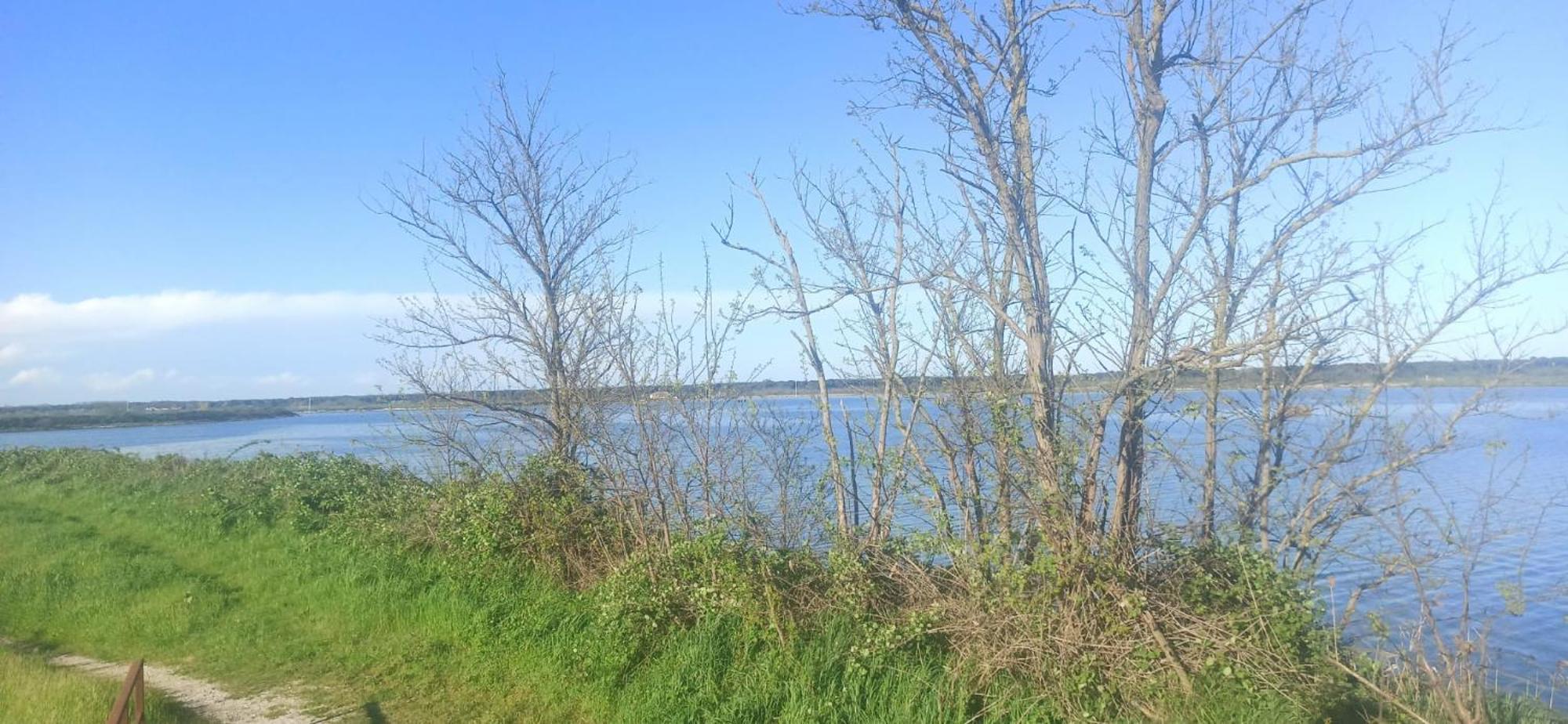 Taglio di Po Casa Vacanze Nel Delta Del Po מראה חיצוני תמונה